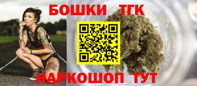 соль ск Моздок