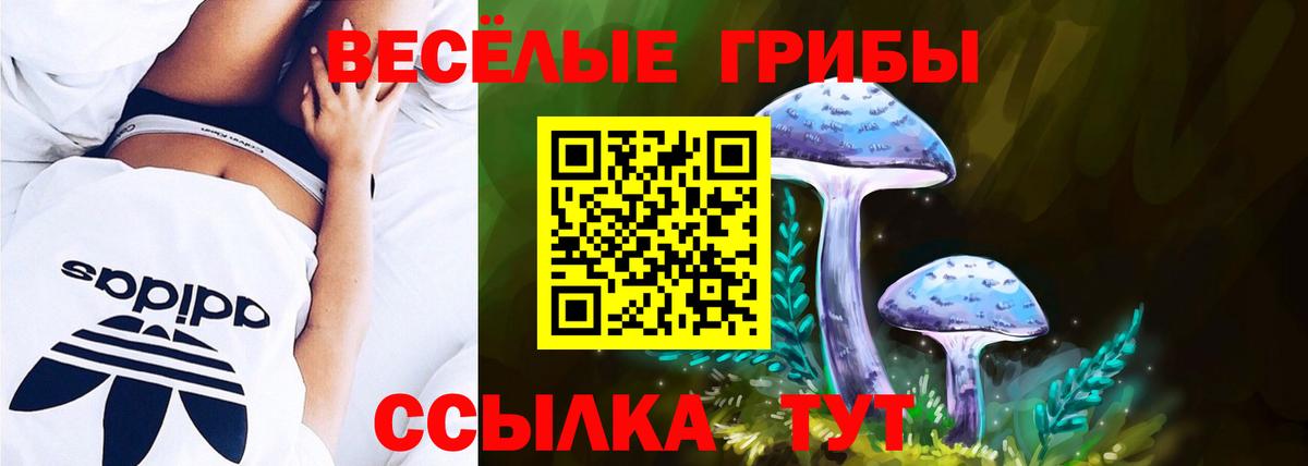 Галлюциногенные грибы прущие грибы  Вход с VPN  Кандалакша  Псилоцибиновые грибы Psilocybe 